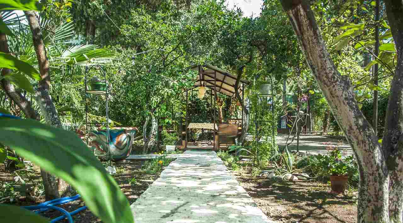 Гостевой дом RusAmra Гагра-12