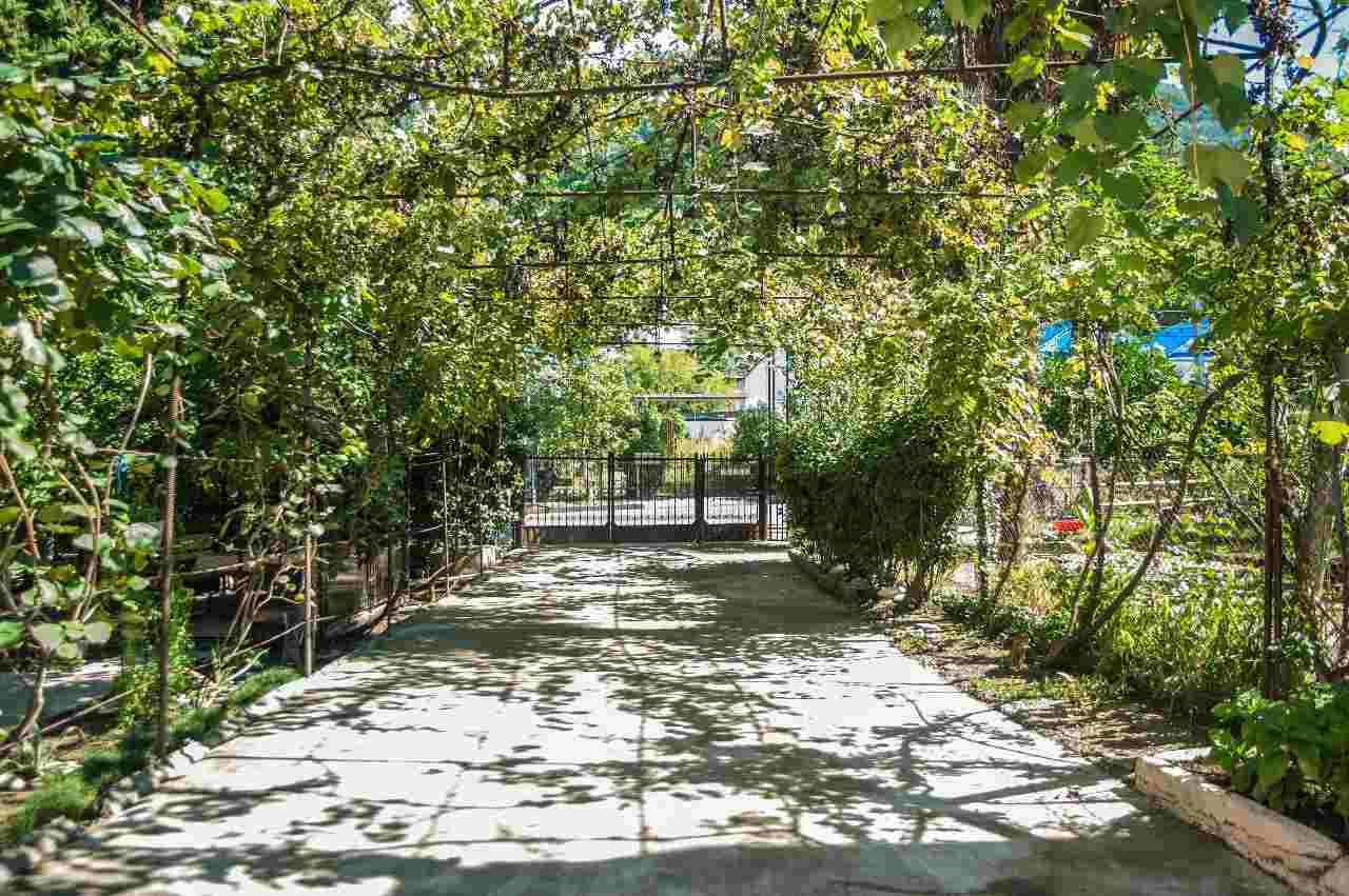 Гостевой дом RusAmra Гагра-10