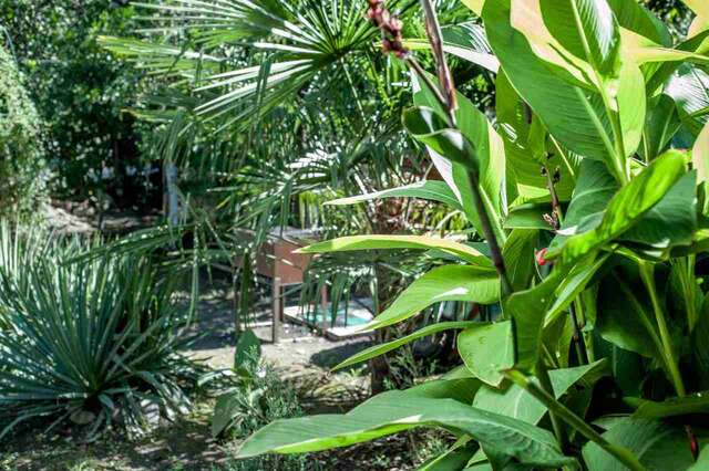 Гостевой дом RusAmra Гагра-5