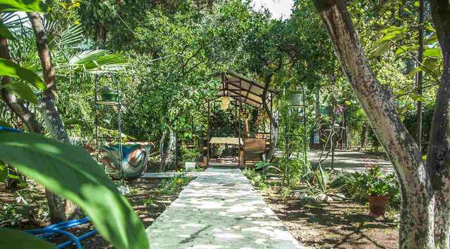 Гостевой дом RusAmra Гагра-11